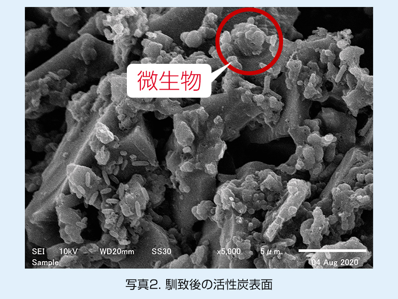 生物脱臭装置