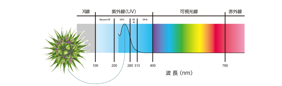 紫外線水処理とは